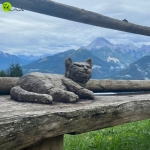 Immagine evento Escursione al sentiero dell’orso ed Eremo dei Romiti con pranzo in rifugio a Domegge di Cadore (BL) Escursione al sentiero dell'orso ed Eremo dei Romiti con pranzo in rifugio a Domegge di Cadore (BL) il 4 agosto 2026
