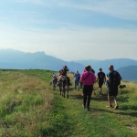 Immagine evento Escursione Con Gli Asini Vedo Lontano… Quasi Tutto L’altopiano! a Asiago (VI) Escursione Con Gli Asini Vedo Lontano... Quasi Tutto L'altopiano! a Asiago (VI) il 19 agosto 2026