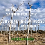 Immagine evento Escursione nella Tenuta di San Rossore … fino al mare a Pisa (PI) Escursione nella Tenuta di San Rossore ... fino al mare a Pisa (PI) il 27 settembre 2026