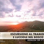 Immagine evento FACILE Tramonto Panoramico e Lucciole a Castel Morrone (CE) FACILE Tramonto Panoramico e Lucciole a Castel Morrone (CE) il 4 luglio 2026