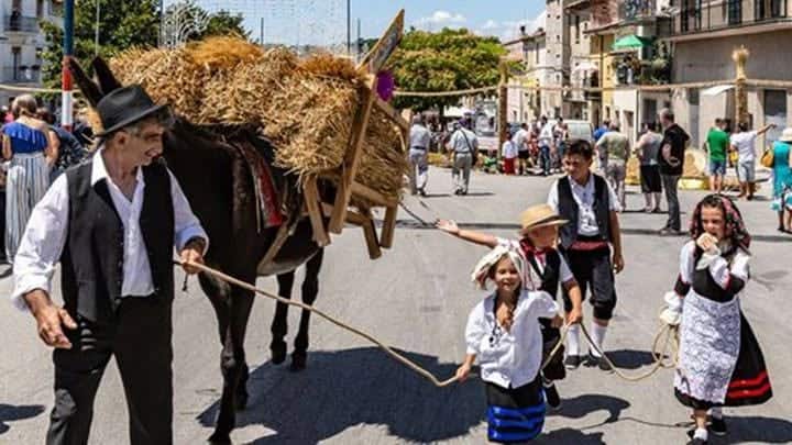 Evento Festa del Grano di Jelsi (CB) Locandina Festa del Grano di Jelsi (CB) - domenica 26 luglio ore 09:00 - 23:59