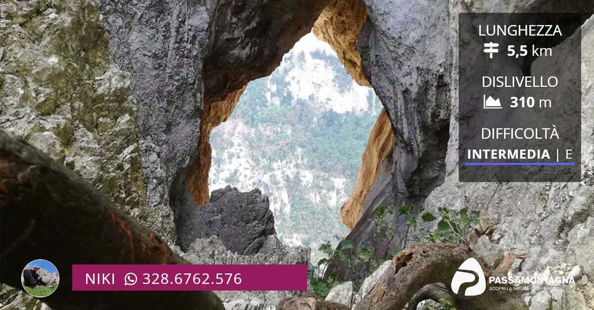 Evento Foro degli Occhialoni, Grotta del Mezzogiorno e bagno nel Sentino Locandina Foro degli Occhialoni, Grotta del Mezzogiorno e bagno nel Sentino - mercoledì 12 agosto ore 08:30 - 12:30