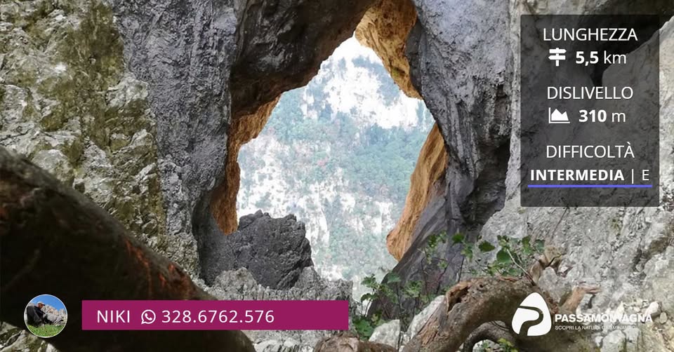 Evento Foro degli Occhialoni, Grotta del Mezzogiorno e bagno nel Sentino Locandina Foro degli Occhialoni, Grotta del Mezzogiorno e bagno nel Sentino - sabato 25 luglio ore 08:30 - 12:30