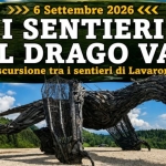 Immagine evento I sentieri del Drago Vaia a Gionghi (TN) I sentieri del Drago Vaia a Gionghi (TN) il 6 settembre 2026