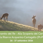 Immagine evento Il Bramito del re Alla scoperta del cervo nella Riserva Acquerino – Cantagallo (Pt) a Cantagallo (PO) Il Bramito del re Alla scoperta del cervo nella Riserva Acquerino - Cantagallo (Pt) a Cantagallo (PO) il 26 settembre - 27 settembre 2026