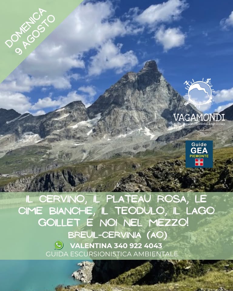 Evento Il Cervino, il Plateau Rosa, le Cime Bianche, il Teodulo, il Lago Goillet e noi nel mezzo! Cervinia Locandina Il Cervino, il Plateau Rosa, le Cime Bianche, il Teodulo, il Lago Goillet e noi nel mezzo! Cervinia - domenica 9 agosto ore 09:00 - 17:00