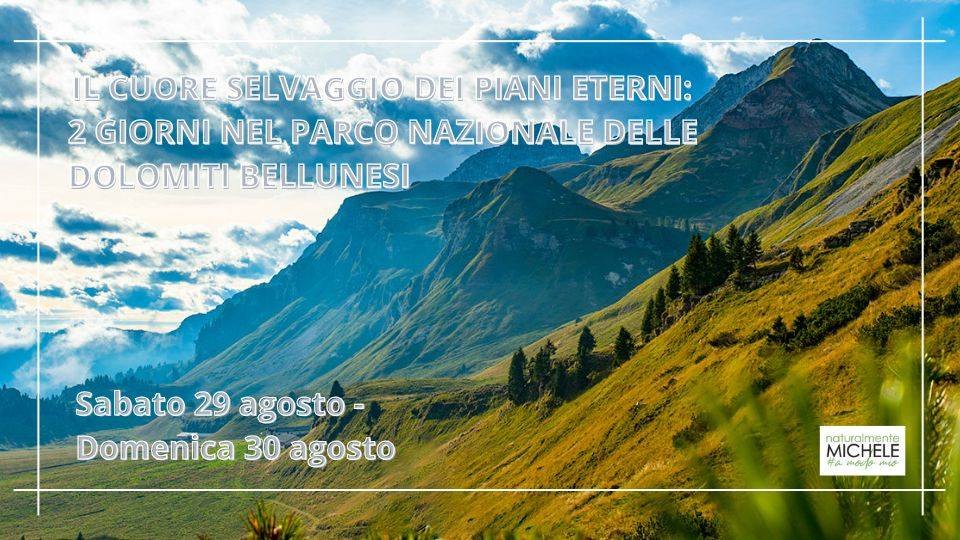 Evento Il cuore selvaggio dei Piani Eterni 2 giorni nel Parco Nazionale delle Dolomiti Bellunesi Locandina Il cuore selvaggio dei Piani Eterni 2 giorni nel Parco Nazionale delle Dolomiti Bellunesi - da sabato 29 agosto - domenica 30 agosto 2026 ore 09:00 ore 17:30