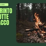 Immagine evento Il labirinto e la notte in bivacco a Santa Sofia (FC) Il labirinto e la notte in bivacco a Santa Sofia (FC) il 22 agosto - 23 agosto 2026