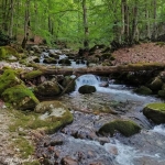Immagine evento Il lago della montagna Spaccata, il Rio Torto e pianoro Campitelli a Alfedena (AQ) Il lago della montagna Spaccata, il Rio Torto e pianoro Campitelli a Alfedena (AQ) il 9 agosto 2026