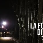 Immagine evento La foresta di notte (Campigna) a Santa Sofia (FC) La foresta di notte (Campigna) a Santa Sofia (FC) il 18 luglio 2026