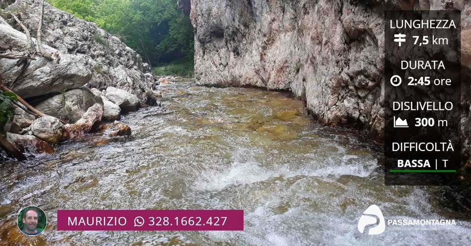 Evento La valle del Rio Sacro fresche acque e farfalle! Locandina La valle del Rio Sacro fresche acque e farfalle! - domenica 16 agosto ore 09:00 - 13:00