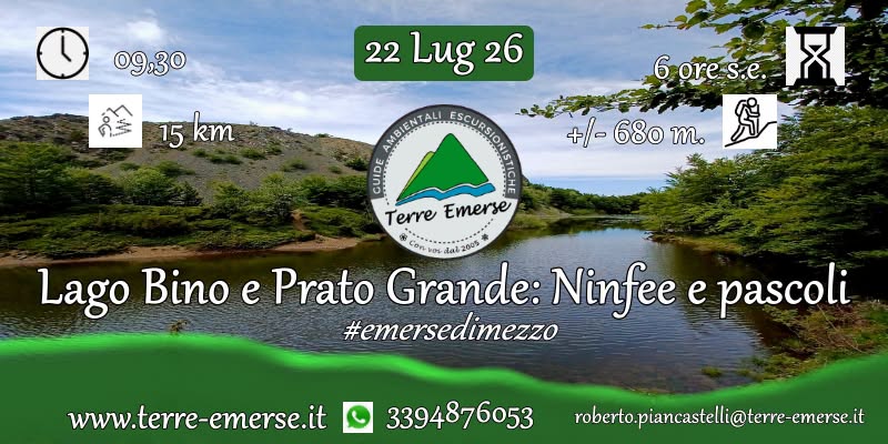 Evento Lago Bino e Prato Grande Ninfee e pascoli – emersedimezzo Locandina Lago Bino e Prato Grande Ninfee e pascoli – emersedimezzo - mercoledì 22 luglio ore 09:30 - 11:30