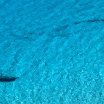 Immagine evento Lampedusa e Linosa a Lampedusa (AG) Lampedusa e Linosa a Lampedusa (AG) il 24 settembre - 29 settembre 2026