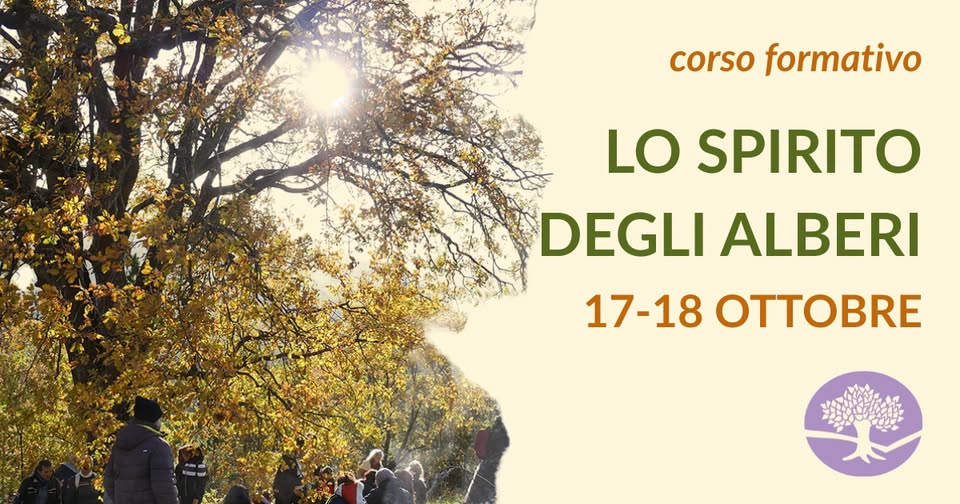 Evento Lo Spirito degli Alberi – NUOVO CORSO! Locandina Lo Spirito degli Alberi – NUOVO CORSO! - da sabato 17 ottobre - domenica 18 ottobre 2026 ore 09:30 ore 15:30