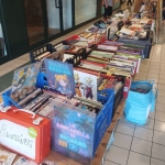 Immagine evento Lonato Books a Garda (VR) Lonato Books a Garda (VR) il 11 luglio 2026
