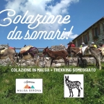 Immagine evento Malga Serona colazione da Somari! a Caltrano (VI) Malga Serona colazione da Somari! a Caltrano (VI) il 20 agosto 2026