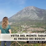 Immagine evento MEDIO – Al fresco dei boschi sulla Vetta del Monte Taburno 1.394m a Tocco Caudio (BN) MEDIO - Al fresco dei boschi sulla Vetta del Monte Taburno 1.394m a Tocco Caudio (BN) il 5 luglio 2026