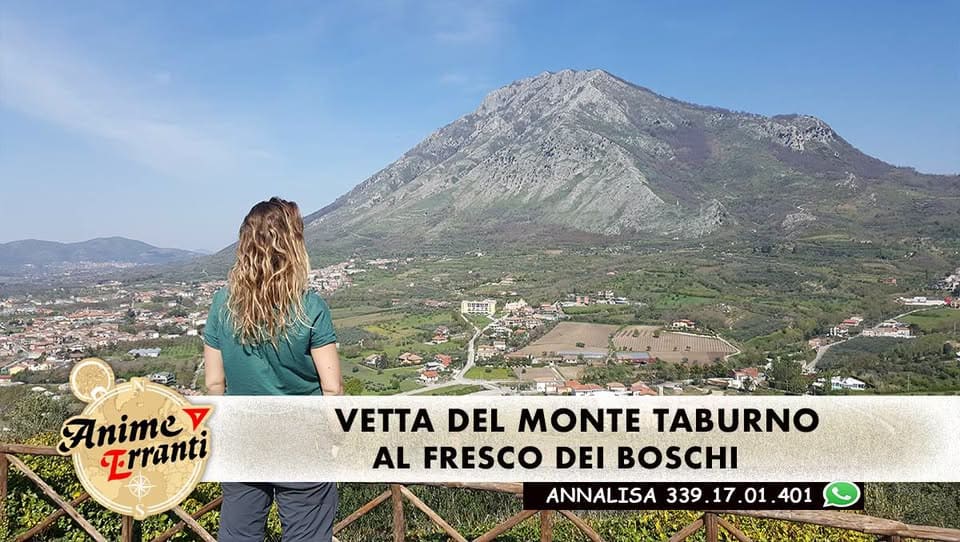 Evento MEDIO – Al fresco dei boschi sulla Vetta del Monte Taburno 1.394m Locandina MEDIO – Al fresco dei boschi sulla Vetta del Monte Taburno 1.394m - domenica 5 luglio ore 10:00 - 12:00
