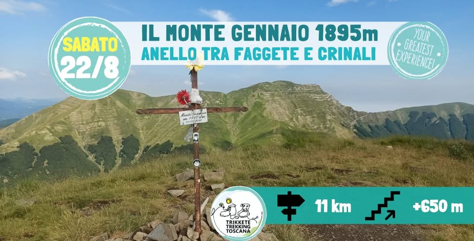 Evento Monte Gennaio (1.895 m) – Anello tra faggete e panorami d’Appennino Locandina Monte Gennaio (1.895 m) – Anello tra faggete e panorami d’Appennino - sabato 22 agosto ore 09:15 - 11:15