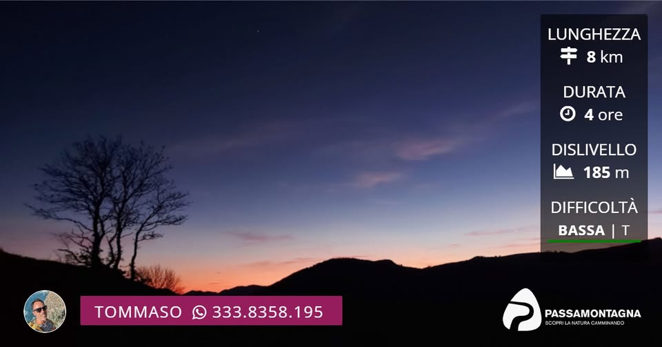 Evento Montelago tramonto e stelle cadenti Locandina Montelago tramonto e stelle cadenti - martedì 11 agosto ore 18:30 - 22:30
