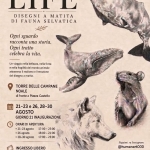 Immagine evento Mostra Gioele Pistore a Noale (VE) Mostra Gioele Pistore a Noale (VE) il 21 agosto - 30 agosto 2026