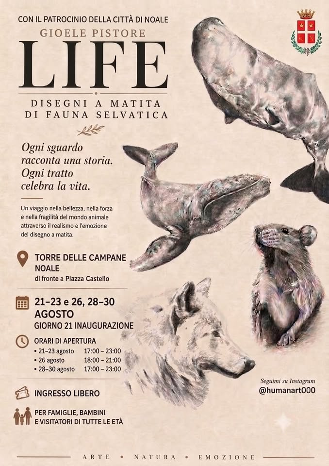 Evento Mostra Gioele Pistore Locandina Mostra Gioele Pistore - da venerdì 21 agosto - domenica 30 agosto 2026 ore 17:00 ore 23:00