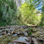 Immagine evento Nel Cuore Dell’ambro Tra Rocce, Acqua E Foresta a Montefortino (FM) Nessuna descrizione della foto disponibile.