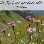 Immagine evento Nel reame delle Alpi Giulie dimenticate lo Jof di Dogna a Pontebba Nel reame delle Alpi Giulie dimenticate lo Jof di Dogna a Pontebba il 16 agosto 2026