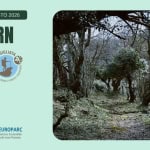 Immagine evento Notturntrek a Premilcuore (FC) Notturntrek a Premilcuore (FC) il 29 agosto 2026