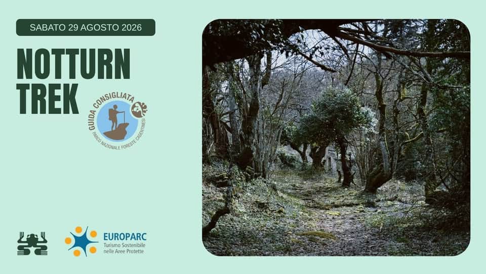 Evento Notturntrek Locandina Notturntrek - sabato 29 agosto ore 20:30 - 22:30