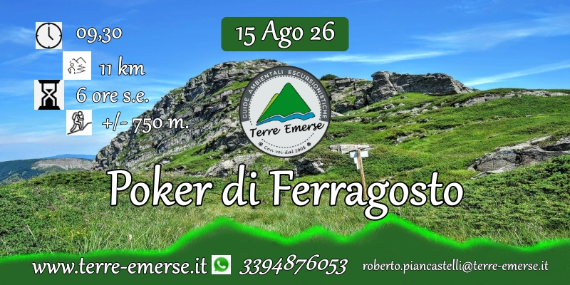 Evento Poker di Ferragosto – trekking2026 Locandina Poker di Ferragosto – trekking2026 - sabato 15 agosto ore 09:30 - 11:30