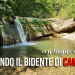 Immagine evento Risalendo il Bidente di Campigna (con bagno al fiume) a Santa Sofia (FC) Risalendo il Bidente di Campigna (con bagno al fiume) a Santa Sofia (FC) il 14 agosto 2026