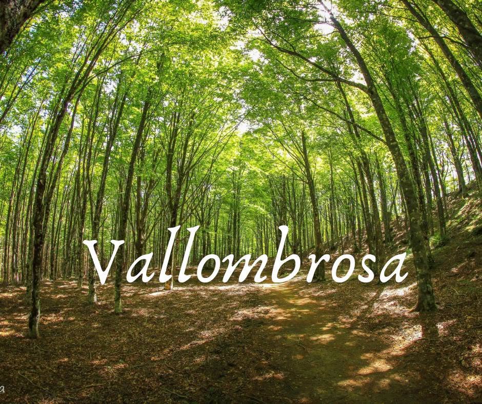 Evento Ritorno a Vallombrosa Locandina Ritorno a Vallombrosa - sabato 18 luglio ore 09:30 - 17:30