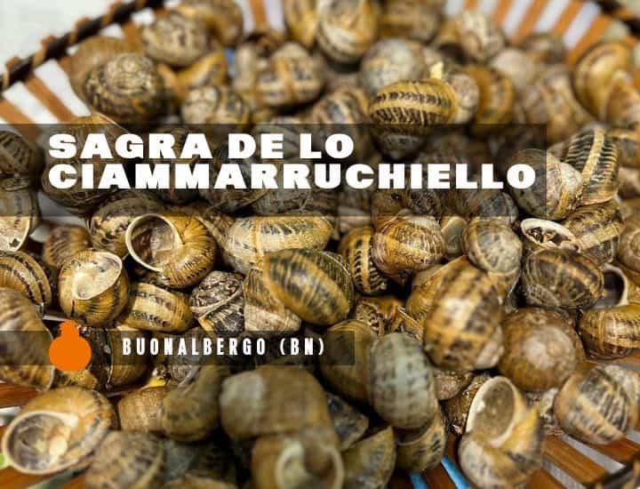Evento Sagra de lo Ciammarruchiello – Buonalbergo (BN) Locandina Sagra de lo Ciammarruchiello – Buonalbergo (BN) - da giovedì 13 agosto - venerdì 14 agosto 2026 ore 19:00 ore 23:45