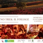 Sagrantino Trek Il Foliage - Cantina Agricola Mevante a Bevagna (PG) il 25 ottobre 2026
