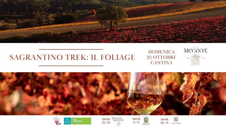 Evento Sagrantino Trek Il Foliage – Cantina Agricola Mevante Locandina Sagrantino Trek Il Foliage – Cantina Agricola Mevante - domenica 25 ottobre ore 09:00 - 13:00