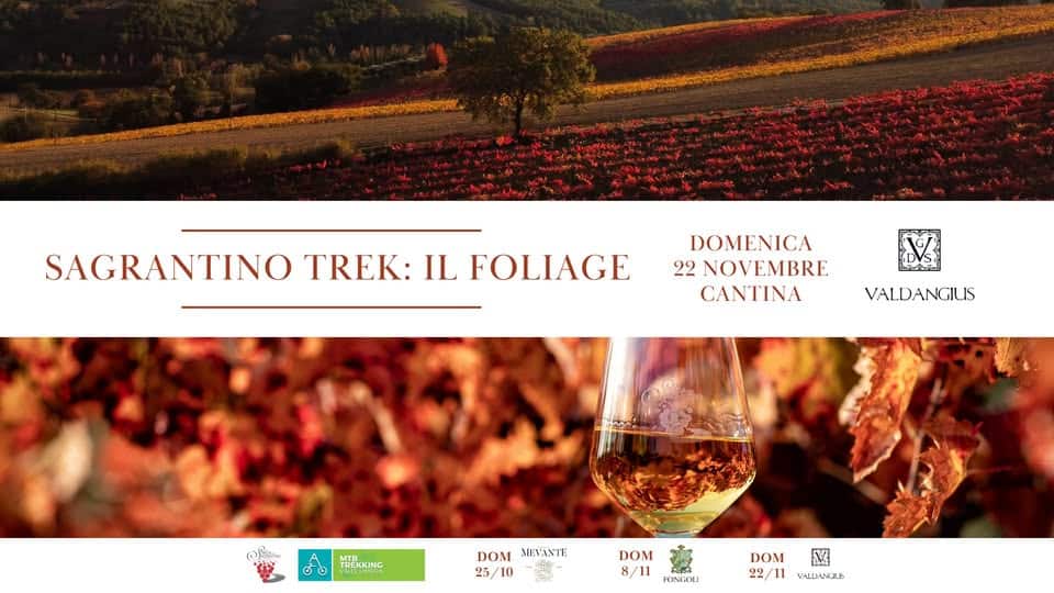 Evento Sagrantino Trek Il Foliage – Cantina Valdangius Locandina Sagrantino Trek Il Foliage – Cantina Valdangius - domenica 22 novembre ore 09:00 - 11:00