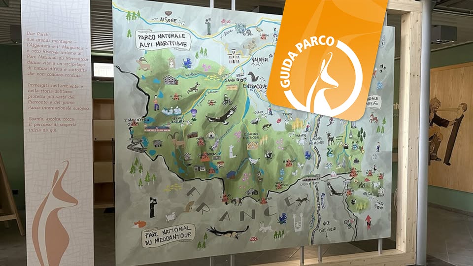 Evento Scopri il Centro Visita con la Guida Parco Locandina Scopri il Centro Visita con la Guida Parco - da giovedì 30 luglio - giovedì 27 agosto 2026 ore 16:00 ore 18:00