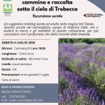 Immagine evento Sinfonia di Lavanda, cammino e raccolta sotto il cielo di Trebecco a Caminata (PC) Sinfonia di Lavanda, cammino e raccolta sotto il cielo di Trebecco a Caminata (PC) il 4 luglio 2026