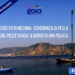 Immagine evento Stretto Di Messina Esperienza Di Pesca Del Pesce Spada A Bordo Di Una Feluca a Villa San Giovanni (RC) Stretto Di Messina Esperienza Di Pesca Del Pesce Spada A Bordo Di Una Feluca a Villa San Giovanni (RC) il 2 luglio luglio - 22 agosto 2026