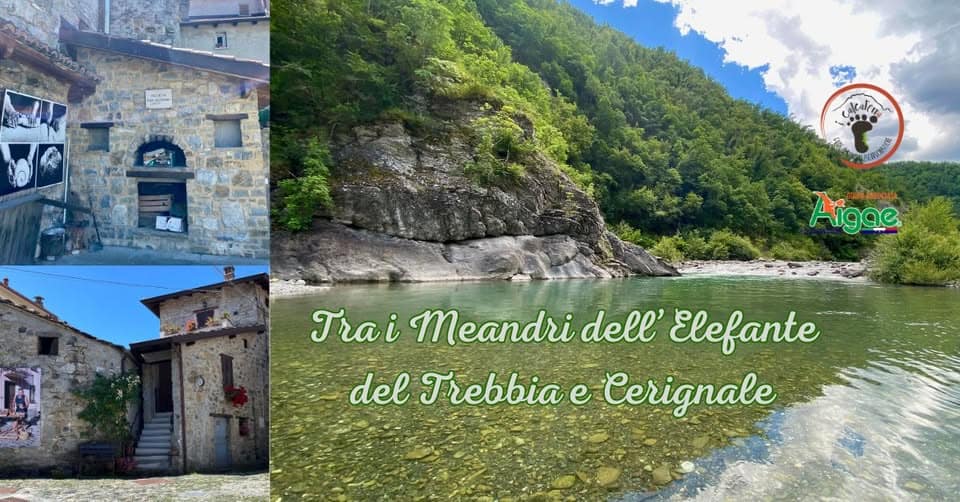 Evento Tra i meandri dell’Elefante del Trebbia e Cerignale Locandina Tra i meandri dell’Elefante del Trebbia e Cerignale - sabato 11 luglio ore 08:15 - 10:15