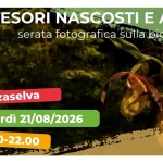 Immagine evento Tra tesori nascosti e alieni a Roana (VI) Tra tesori nascosti e alieni a Roana (VI) il 21 agosto 2026