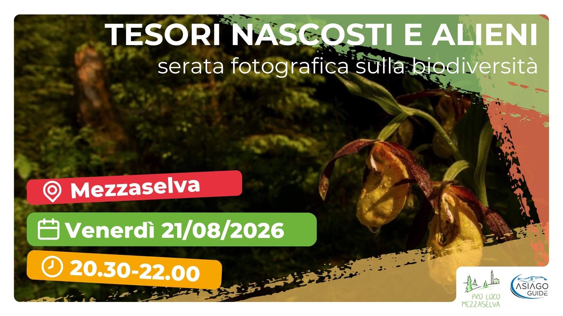 Evento Tra tesori nascosti e alieni Locandina Tra tesori nascosti e alieni - venerdì 21 agosto ore 20:30 - 22:00