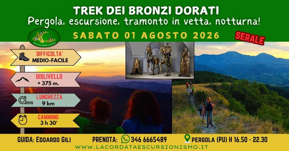 Evento TREK DEI BRONZI DORATI Pergola, escursione, tramonto in vetta, notturna! Locandina TREK DEI BRONZI DORATI Pergola, escursione, tramonto in vetta, notturna! - sabato 1 agosto ore 16:50 - 22:30