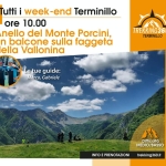 Immagine evento Trekking ad anello sulla Vetta del Monte Porcini, un balcone sulla Vallonina a Campello sul Clitunno (PG) Trekking ad anello sulla Vetta del Monte Porcini, un balcone sulla Vallonina a Campello sul Clitunno (PG) il 11 luglio luglio - 30 agosto 2026