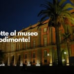Immagine evento Una notte al Museo di Capodimonte! a Napoli (NA) Una notte al Museo di Capodimonte! a Napoli (NA) il 24 luglio 2026