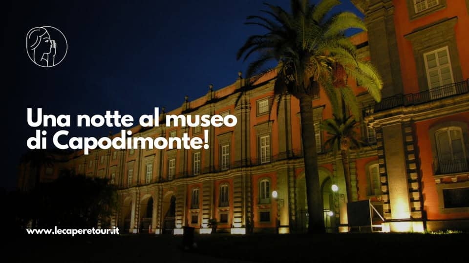Evento Una notte al Museo di Capodimonte! Locandina Una notte al Museo di Capodimonte! - venerdì 24 luglio ore 20:30 - 22:30