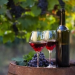 Immagine evento Approccio Alla Degustazione Del Vino a Campo San Martino (PD) Approccio Alla Degustazione Del Vino a Campo San Martino (PD) il 9 ottobre 2026