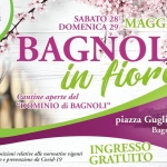 Immagine evento Bagnoli in fiore a Bagnoli di Sopra (PD) No photo description available.