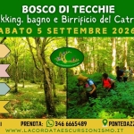 Immagine evento BOSCO DI TECCHIE Trekking, bagno, Birrificio del Catria a Cantiano (PU) BOSCO DI TECCHIE Trekking, bagno, Birrificio del Catria a Cantiano (PU) il 5 settembre 2026